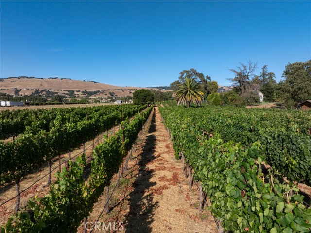 Detail Gallery Image 24 of 49 For 2143 Buena Vista Ave, Gilroy,  CA 95020 - 0 Beds | 1 Baths