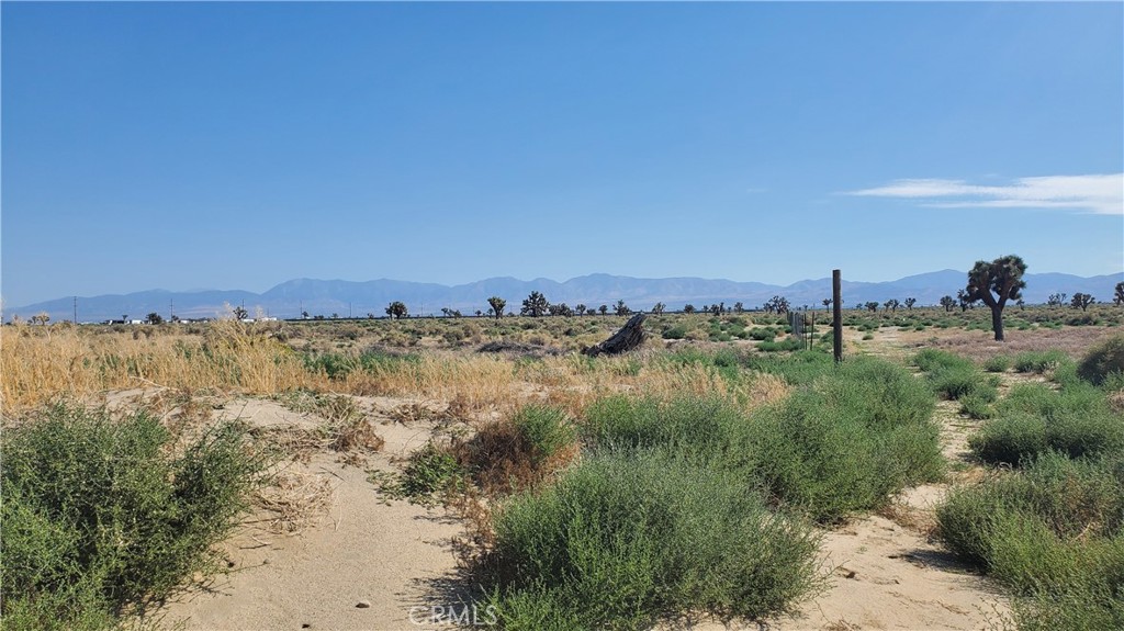 MLS #SR23171026 image #3