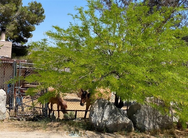 51371 Cheyenne Trail, Morongo Valley CA: https://media.crmls.org/medias/d5de0c59-7714-47e8-9a67-5574e0fe0aad.jpg