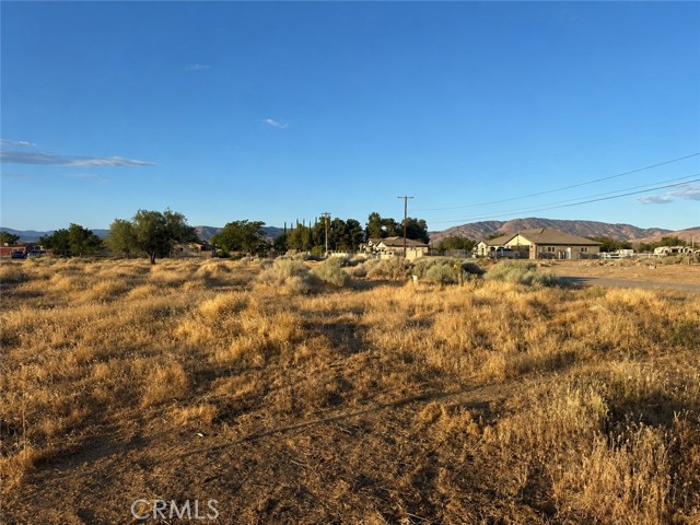 40650 Vac/11th Stw/Vic Avenue N12 photo 3