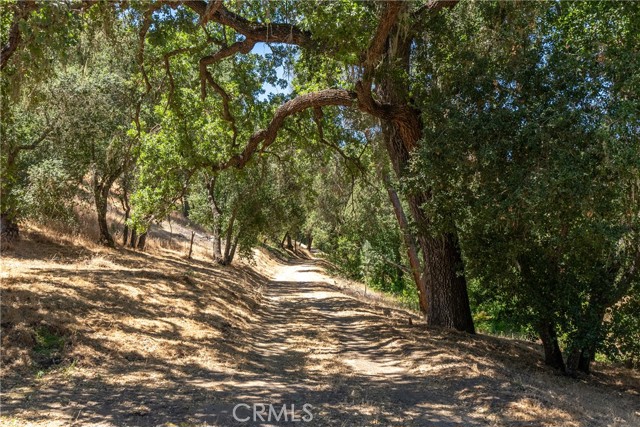 Detail Gallery Image 5 of 23 For 5450 Calf Canyon Hwy, Creston,  CA 93432 - 3 Beds | 2 Baths