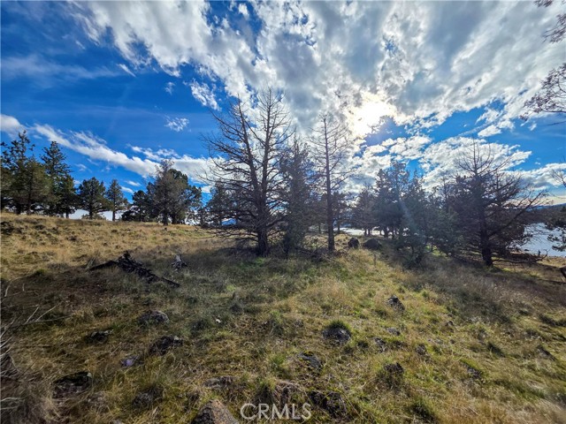 Detail Gallery Image 7 of 16 For 0 Driftwood, Weed,  CA 96094 - – Beds | – Baths