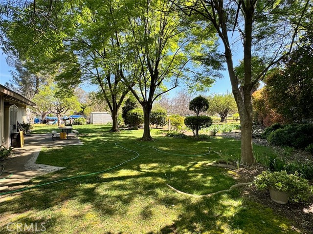 Detail Gallery Image 11 of 28 For 3481 Bell, Chico,  CA 95973 - 3 Beds | 1/1 Baths