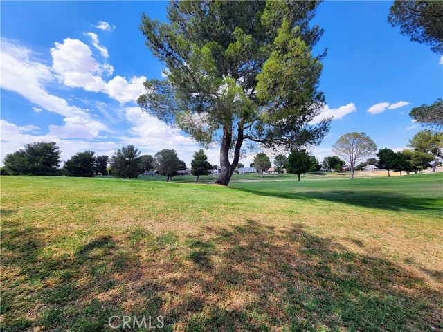 Detail Gallery Image 59 of 62 For 15178 Orchard Hill Ln, Helendale,  CA 92342 - 4 Beds | 3 Baths