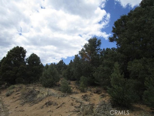 25 Kennedy Meadows Rd, Inyokern, CA, 93527 25 Kennedy Meadows Rd, Inyokern, CA, 93527