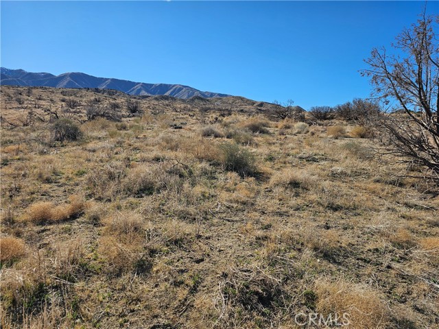 Front Image Thumbnail for CRSR25266658