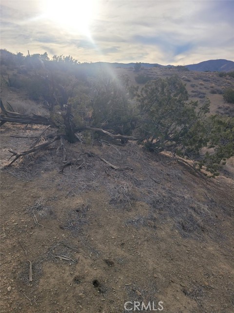 0 Vac/ca Aqueduct/pearblossom, Palmdale, CA, 93550 0 Vac/ca Aqueduct/pearblossom, Palmdale, CA, 93550