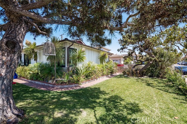 being on a corner makes for plenty of yard space for the kids... This yard is private and actually on avenue F!