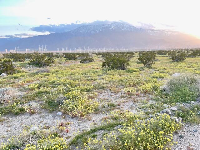 Detail Gallery Image 5 of 10 For 0 16th, Palm Springs,  CA 92240 - – Beds | – Baths