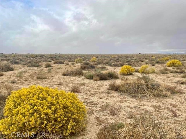 0 65th St. W & Ave G-4, Lancaster CA: https://media.crmls.org/medias/d60e2e2b-3496-41ea-a0e7-a93bb7adc775.jpg