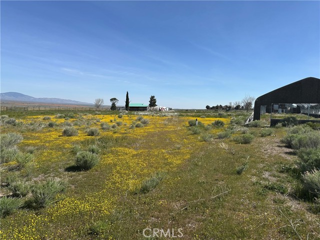 49818 290th W, Lancaster CA: https://media.crmls.org/medias/d60f1345-1fa0-469d-9001-bfe4e1ffee53.jpg