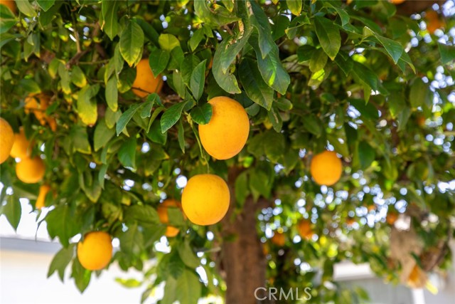 Detail Gallery Image 38 of 45 For 14719 Wyandotte St, Van Nuys,  CA 91405 - 2 Beds | 1/1 Baths