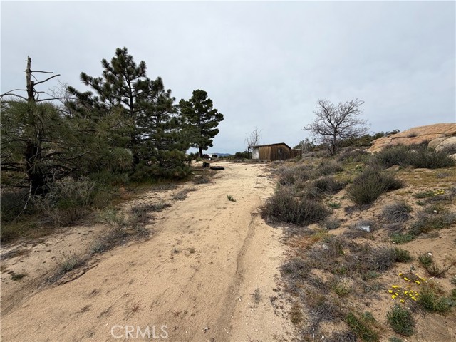 Detail Gallery Image 55 of 73 For 61200 Indian Paint Brush Rd, Anza,  CA 92539 - 5 Beds | 4 Baths
