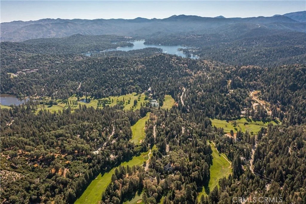 MLS #IG25242798 image #46