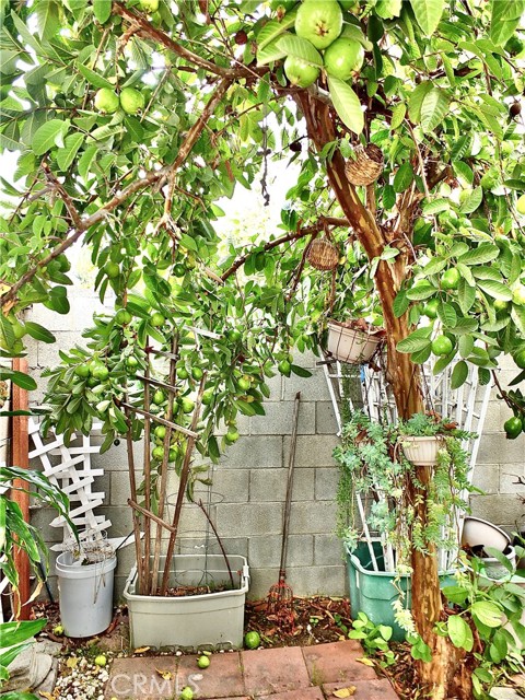 Detail Gallery Image 39 of 40 For 15121 Rancho Clemente, Paramount,  CA 90723 - 3 Beds | 2/1 Baths