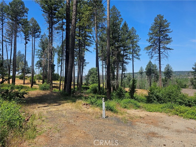 Front Image Thumbnail for CRSN26069769