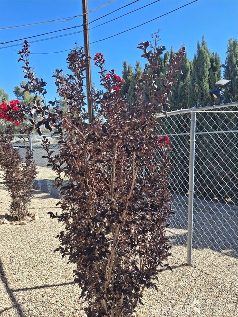 Detail Gallery Image 25 of 29 For 6873 Warren Vista, Yucca Valley,  CA 92284 - 3 Beds | 2 Baths