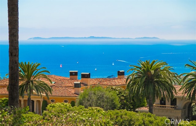 Detail Gallery Image 60 of 66 For 22 Pelican Crest Dr, Newport Coast,  CA 92657 - 5 Beds | 7/1 Baths