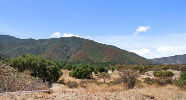 39813 Calle Carona, Green Valley CA: https://media.crmls.org/medias/d643aaa5-9329-42e5-ad47-d053e551ed55.jpg