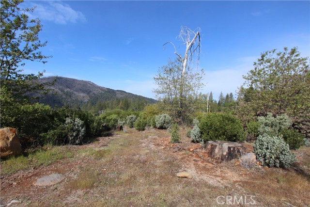 16581 Hill Court, Cobb, CA, 95426 16581 Hill Court, Cobb, CA, 95426