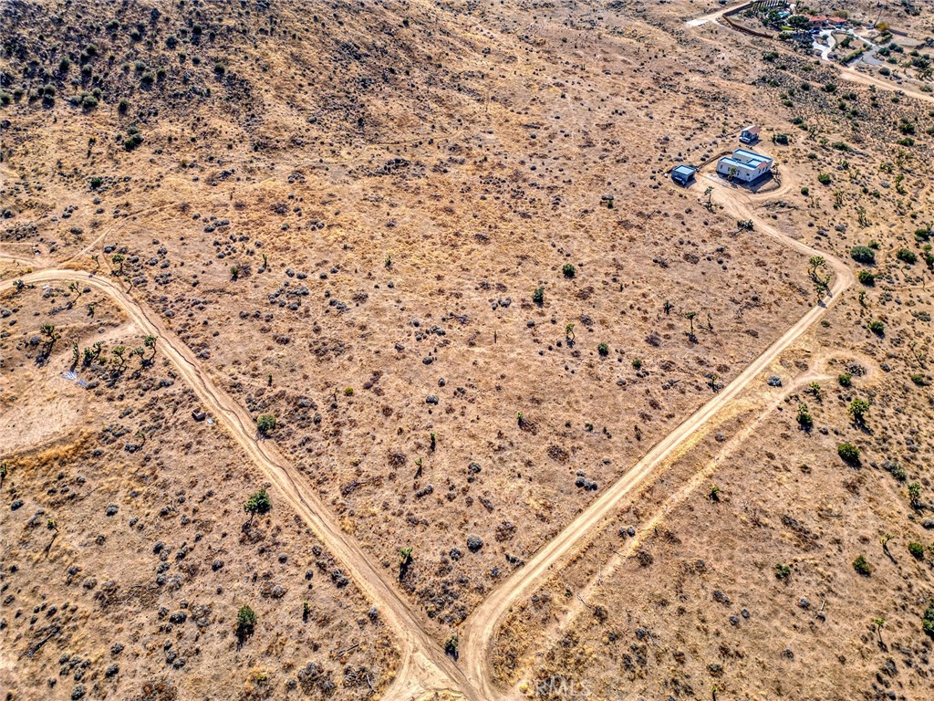 MLS #JT25046600 image #6