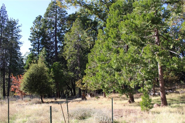 Detail Gallery Image 14 of 17 For 13911 Cluster Ct, Magalia,  CA 95954 - – Beds | – Baths