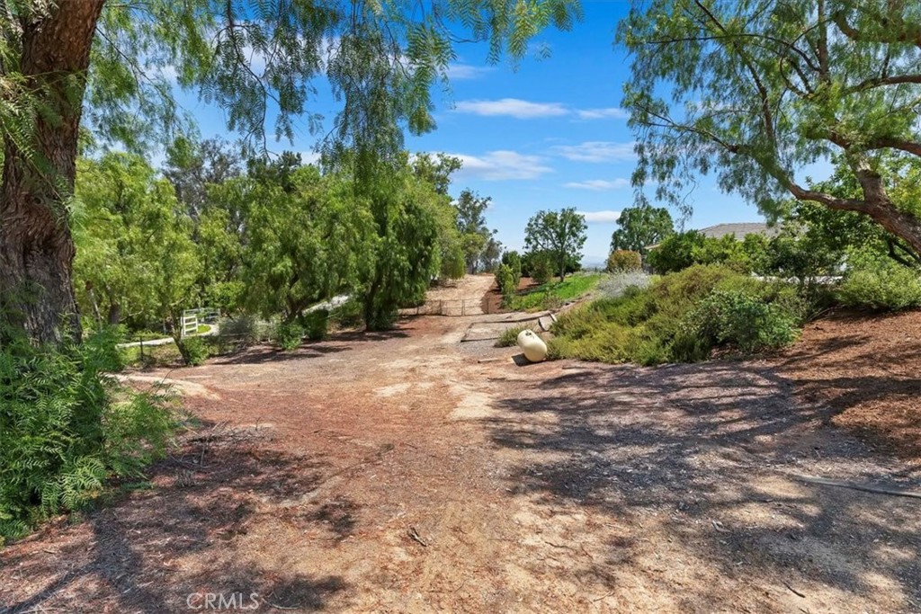 MLS #SW25154917 img 46