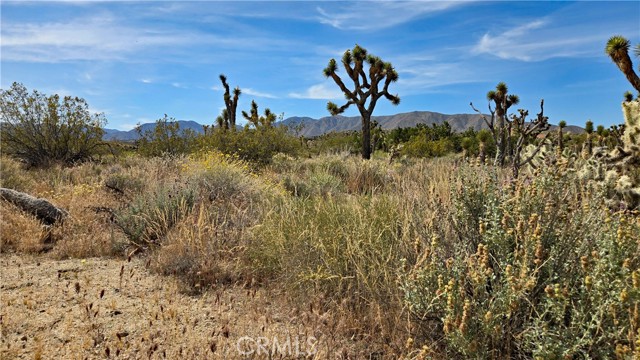 Detail Gallery Image 31 of 49 For 0 103rd St East Vicinity W14, –,  CA 93543 - – Beds | – Baths