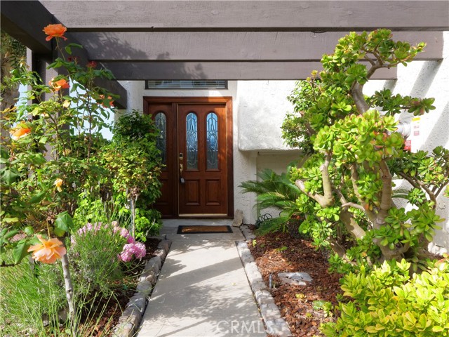 Beautiful garden in the front yard