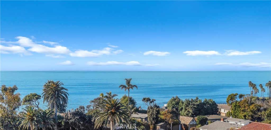 MLS #NP25263709 image #37