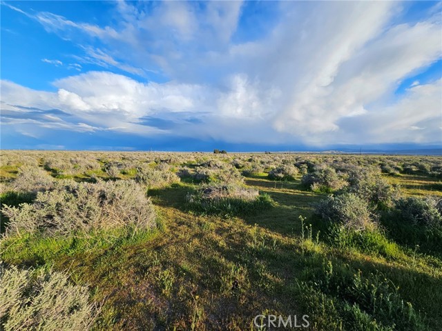 Detail Gallery Image 2 of 8 For 359 35931505005, Rosamond,  CA 93560 - – Beds | – Baths