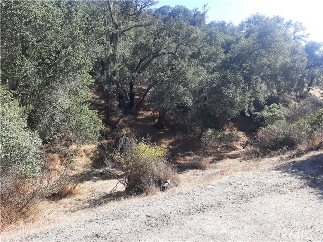 0 Chauplin, Atascadero, CA, 93422 0 Chauplin, Atascadero, CA, 93422
