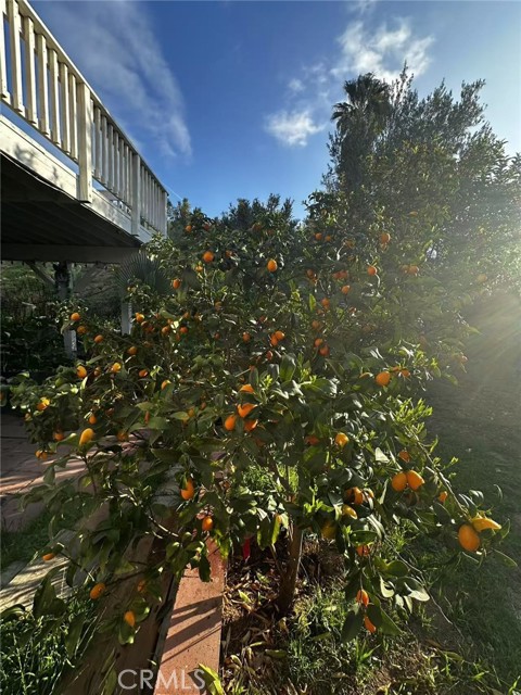 7929 bolton ave, Riverside CA: https://media.crmls.org/medias/d68160a5-0412-452b-b5e5-a25ab1542a92.jpg