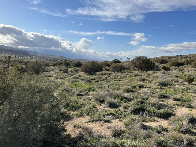 Detail Gallery Image 15 of 25 For 0 Vac/Fort Tejon Pav /Vic Avenue, Pearblossom,  CA 93553 - – Beds | – Baths