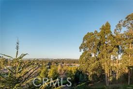1660 Red Admiral Court, Nipomo CA: https://media.crmls.org/medias/d683c27d-b80e-41c5-9256-217661def65c.jpg