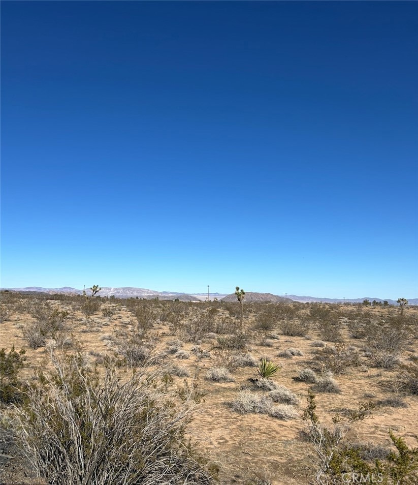 MLS #SW25265380 image #6