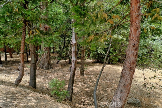 Detail Gallery Image 1 of 15 For 27513 Meadow Bay Dr, Lake Arrowhead,  CA 92352 - – Beds | – Baths