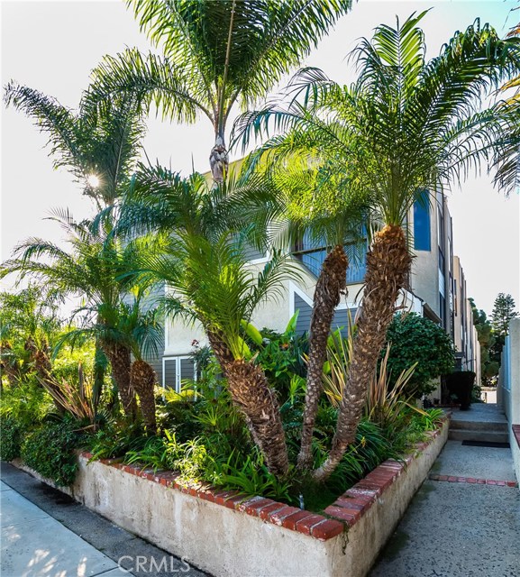 Five unit development with #5 located at west end of site