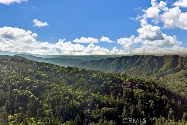 176 Pine Ridge Road, Crestline CA: https://media.crmls.org/medias/d6967ac7-087e-4621-a2da-eeeb5784e15e.jpg