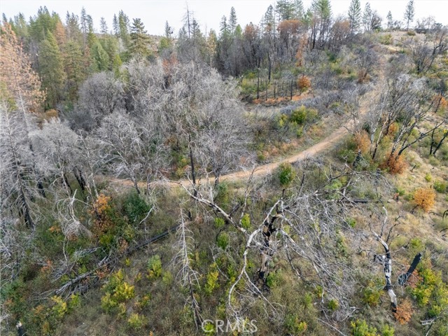 2231 Lumpkin Road, Oroville, California 95966, ,Land,For Sale,2231 Lumpkin Road,CRSN23227176