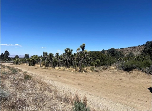 Detail Gallery Image 3 of 8 For 0 Evergreen Rd, Pinon Hills,  CA 92372 - – Beds | – Baths