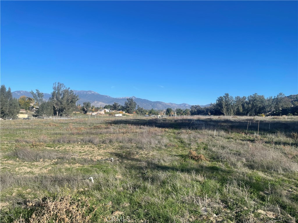 MLS #WS25276306 image #1