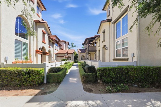 Front Image Thumbnail for CROC26069853