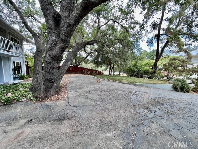 1280 Avila Drive photo 8