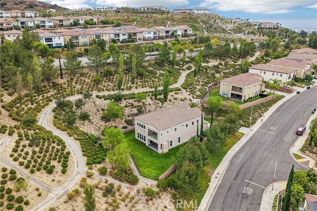 11978 Ricasoli Way photo 50