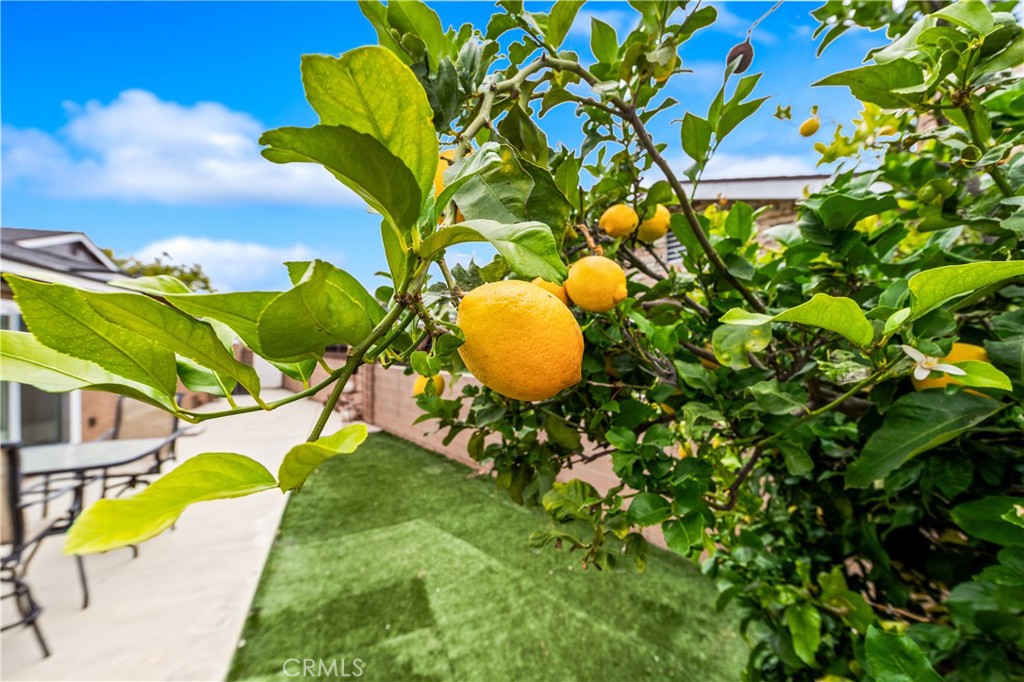https://media.crmls.org/medias/d6bcee38-5d0a-4d1d-a32a-15c6e154712d.jpg?preset=X-Large