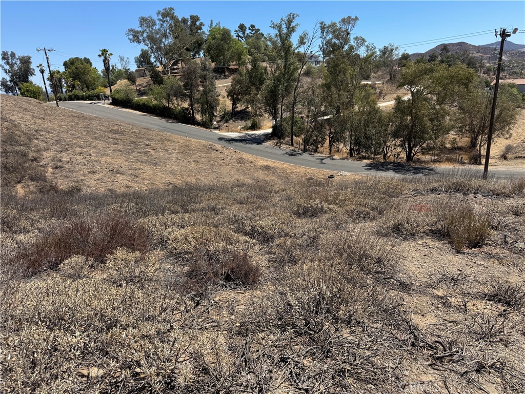MLS #SW25170970 image #8