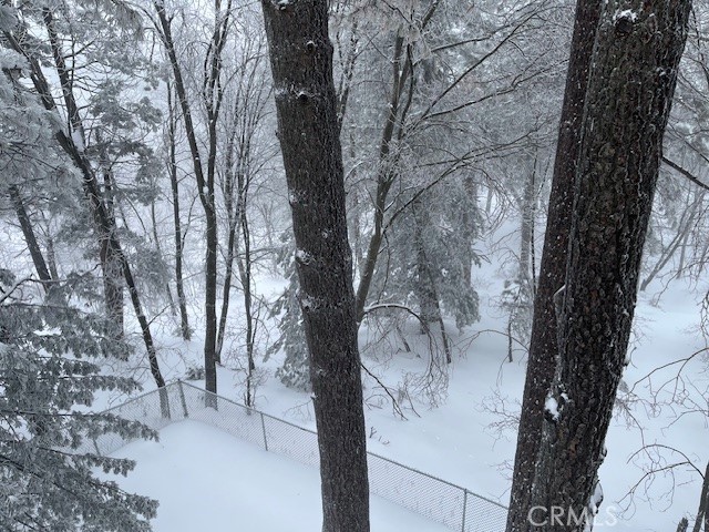 Detail Gallery Image 39 of 40 For 1215 Scenic Way, Rimforest,  CA 92378 - 3 Beds | 2/1 Baths