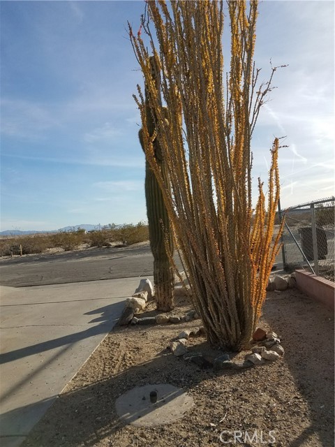 Detail Gallery Image 5 of 15 For 6790 Maude Adams Ave, Twentynine Palms,  CA 92277 - 2 Beds | 1 Baths