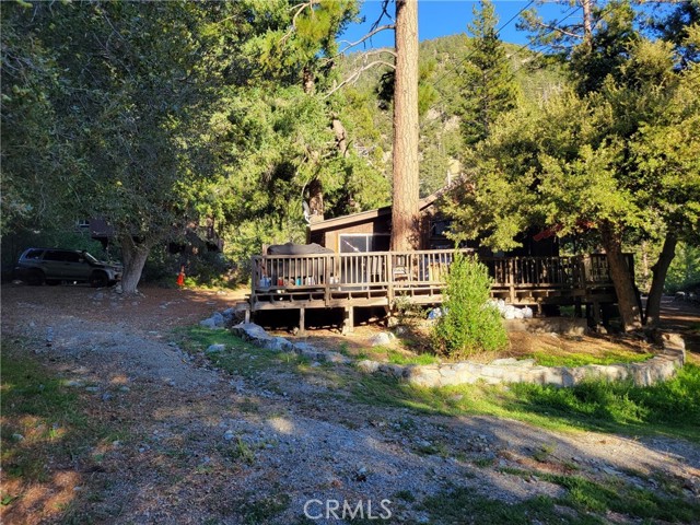 Extensive backyard wood deck